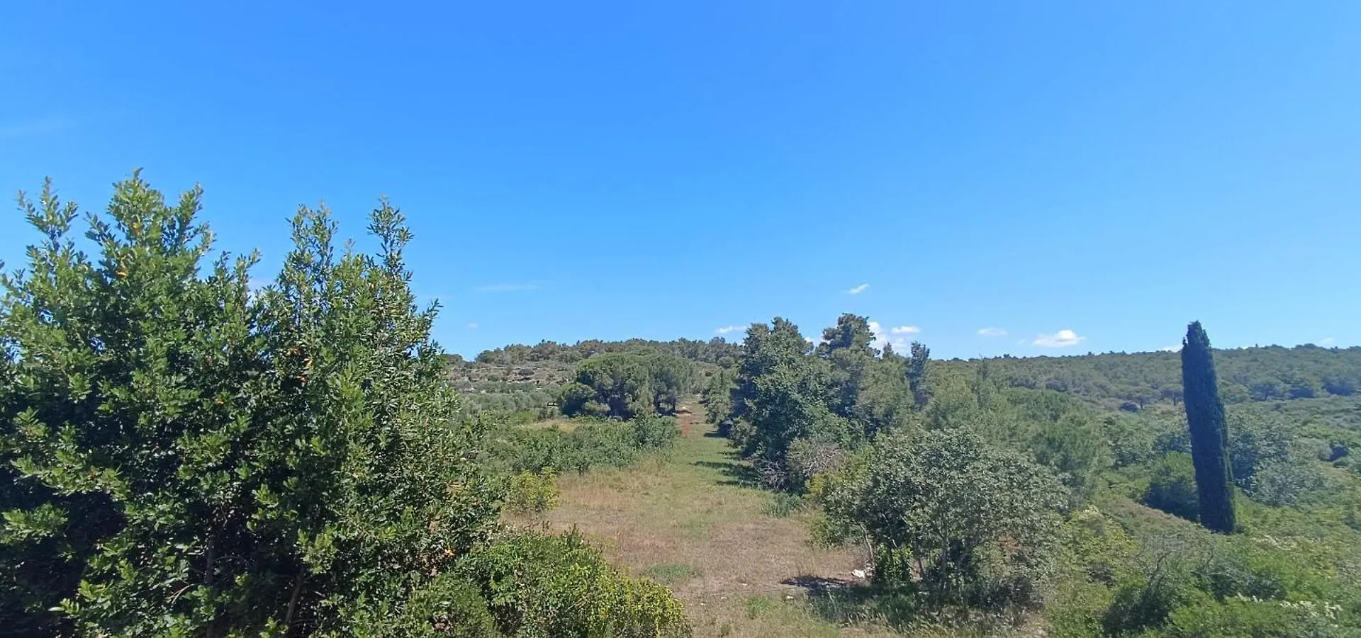 Apartmani Verde Zadar 0*,