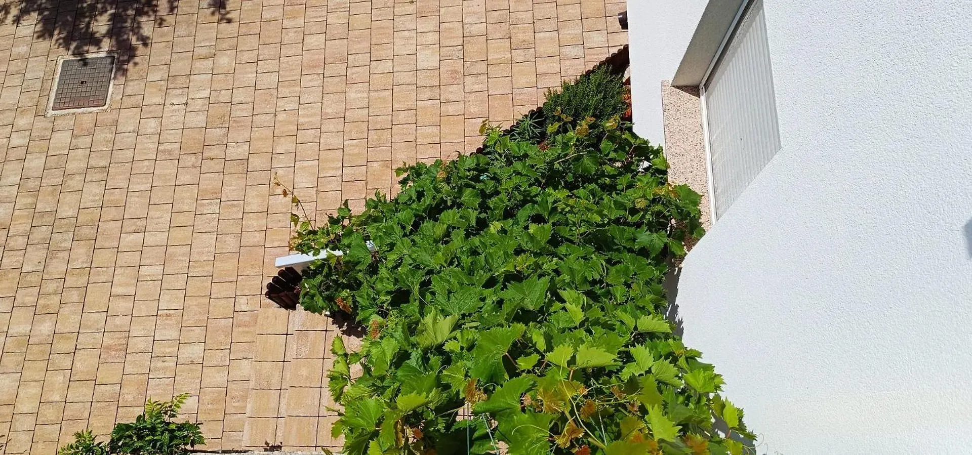 Apartmani Verde Zadar 0*,